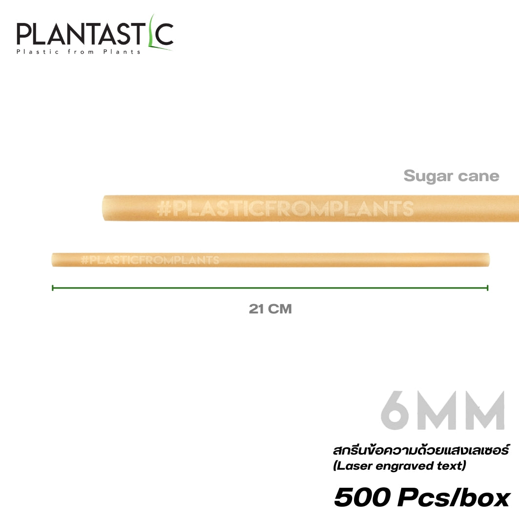 Sugarcane 6x210MM Biodegradable and Compostable-hashtag 500 Pcs/small Bag