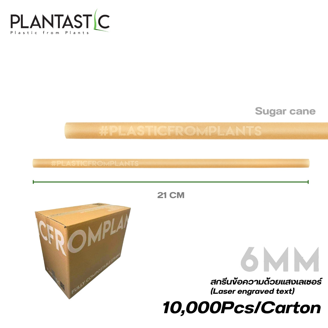 Sugarcane Straws 6 x 210 Biodegradable and Compostable-hashtag 10,000 Pcs/Carton